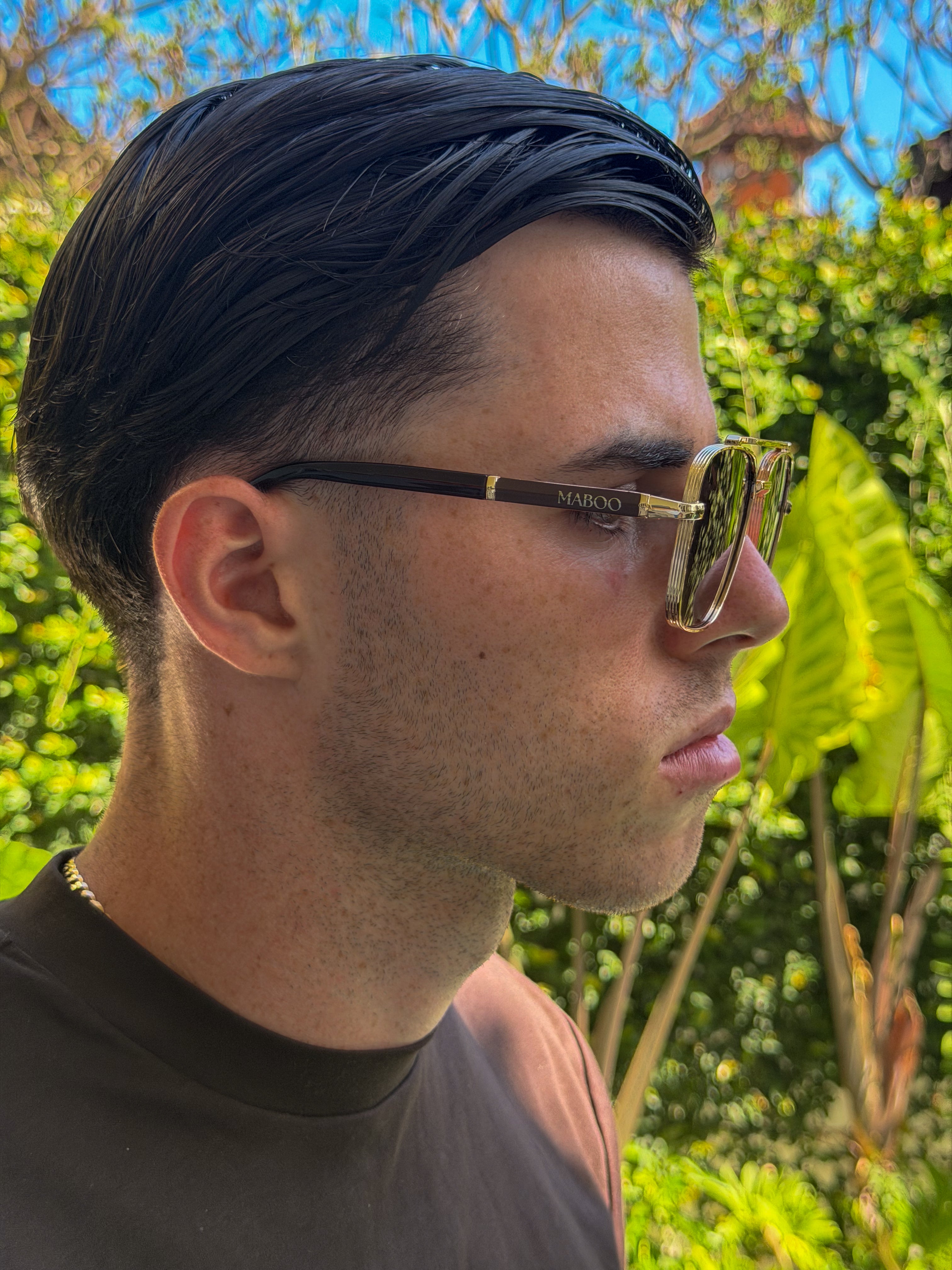 Vista Sunglasses | Brown