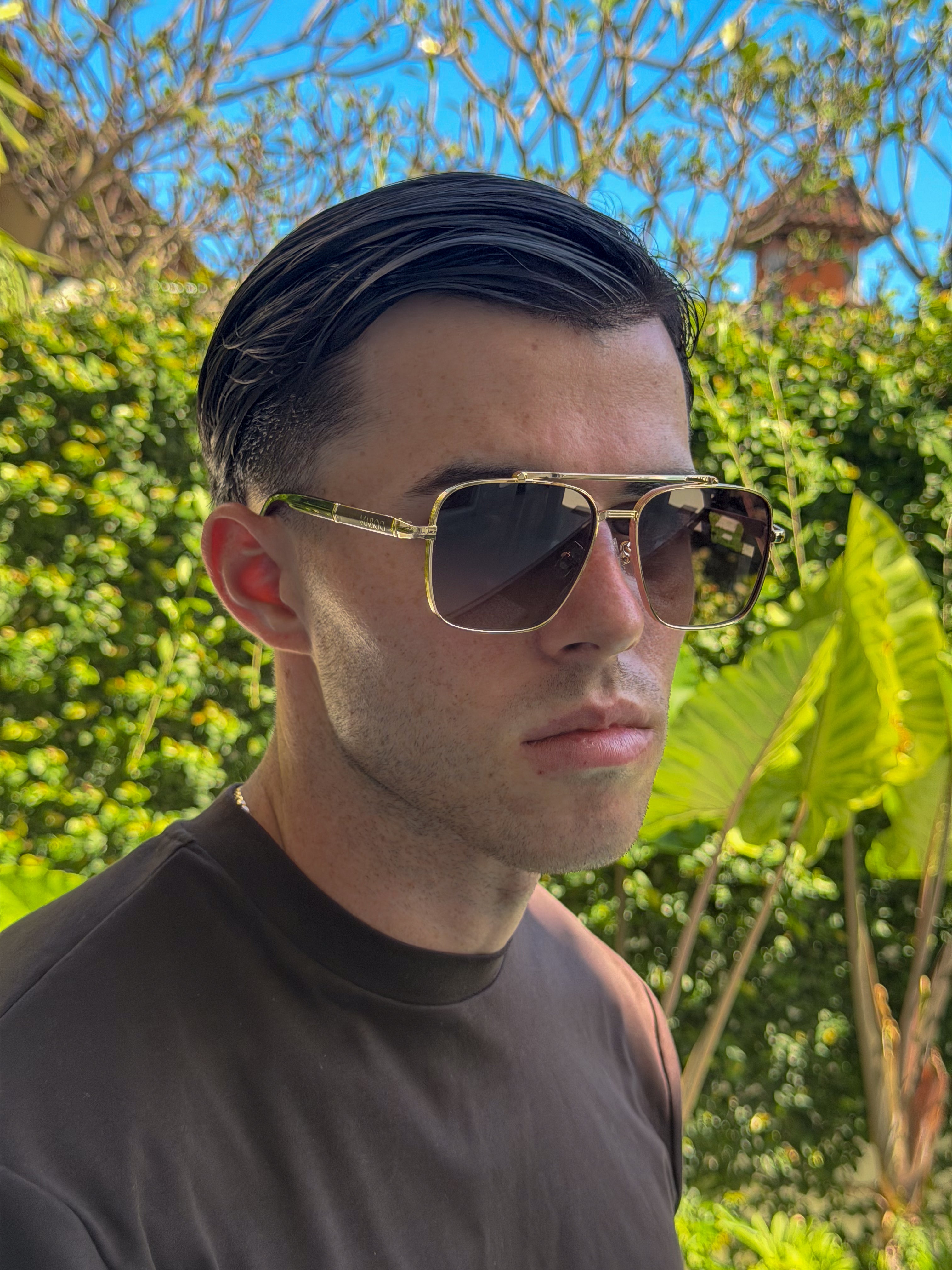 Vista Sunglasses | Brown