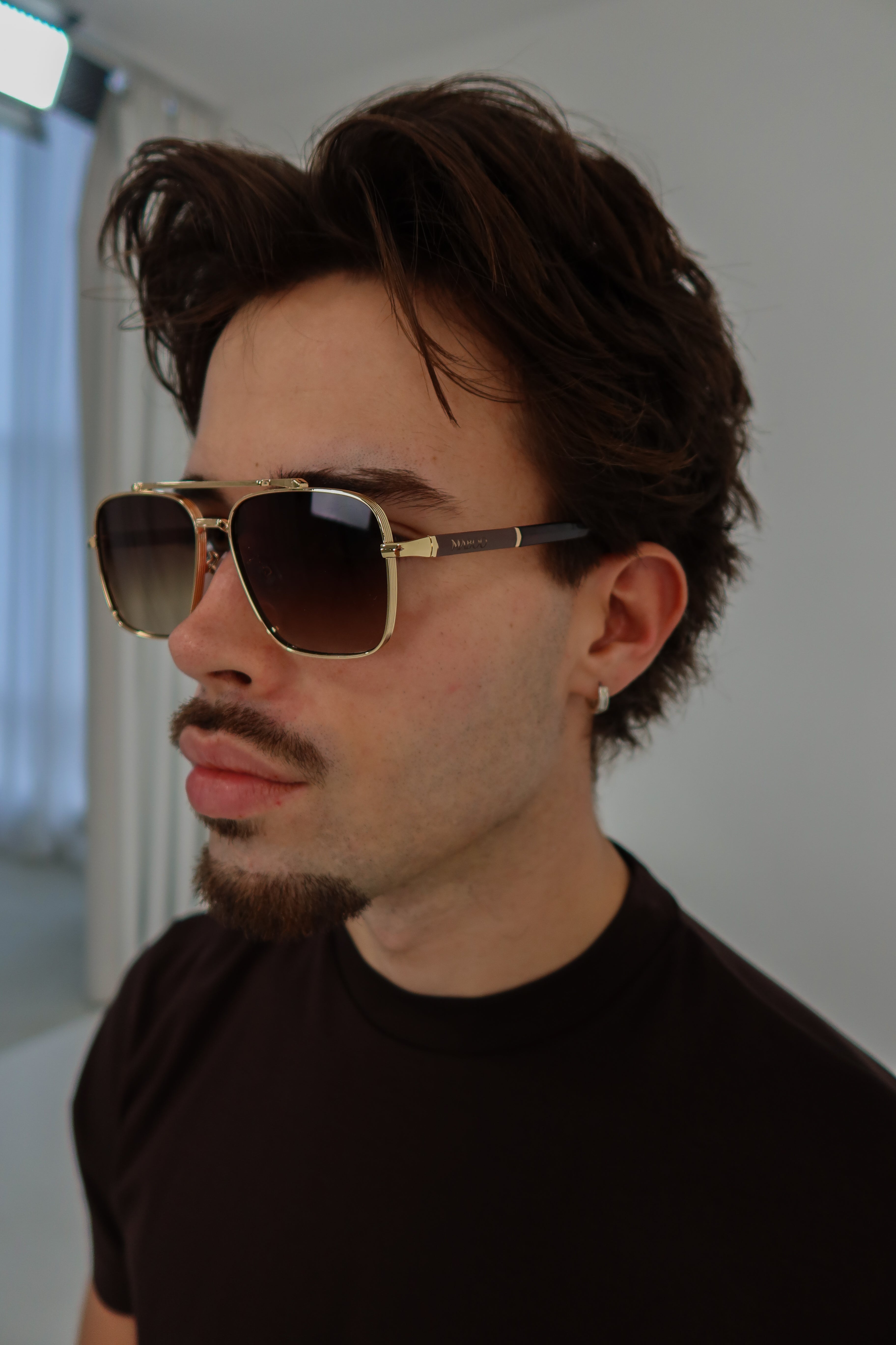 Vista Sunglasses | Brown